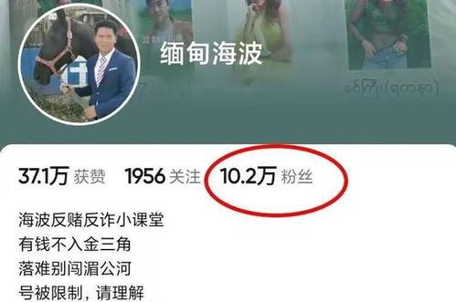 缅甸海波最新爆料,最新爆料背后的惊人真相